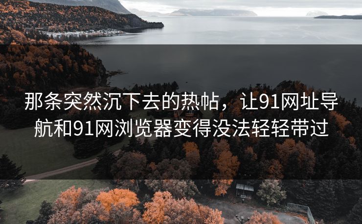 那条突然沉下去的热帖，让91网址导航和91网浏览器变得没法轻轻带过