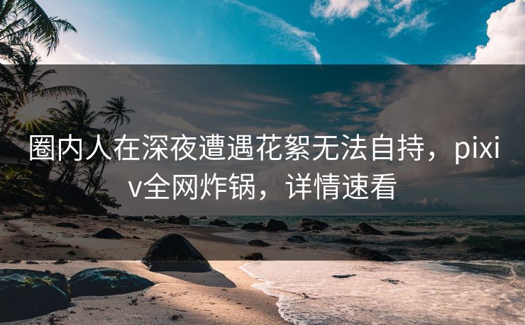 圈内人在深夜遭遇花絮无法自持，pixiv全网炸锅，详情速看